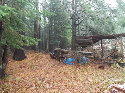 4779 Snoopy Ln, Frederic, MI 49733 photo 6