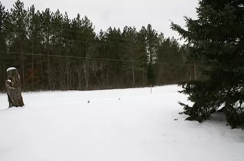 8092 W Hulbert Frederic Mi 49733, Frederic, MI 49733 photo 16