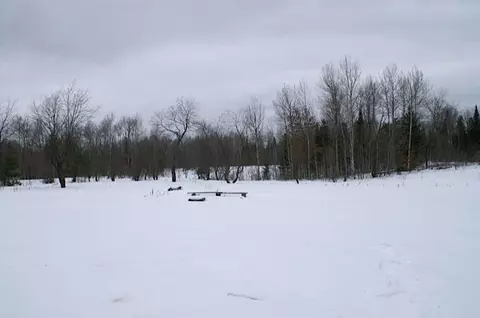 8092 W Hulbert Frederic Mi 49733, Frederic, MI 49733 photo 18