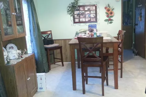 6614 E Bogardus St, Pellston, MI 49769 photo 3