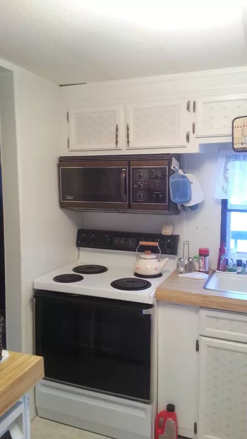6614 E Bogardus St, Pellston, MI 49769 photo 10