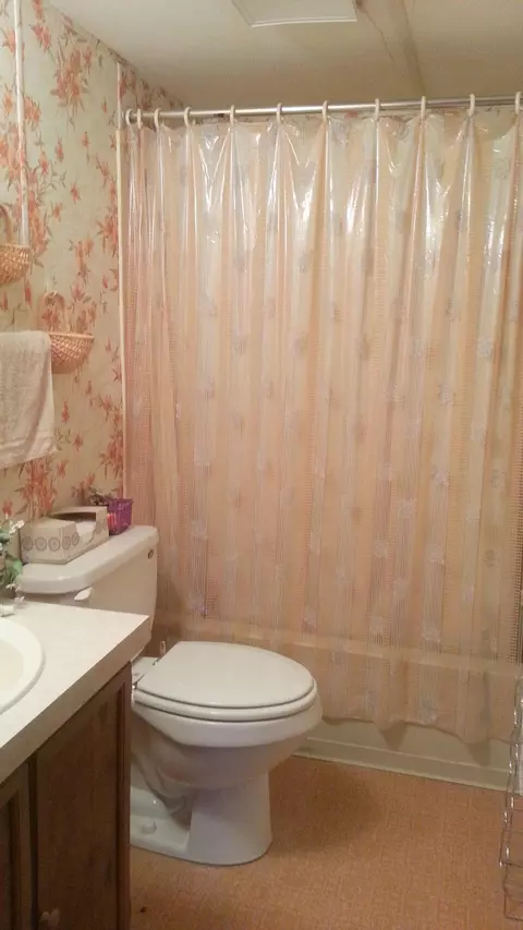 6614 E Bogardus St, Pellston, MI 49769 photo 7
