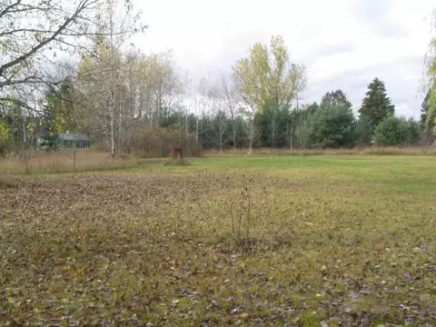 6614 E Bogardus St, Pellston, MI 49769 photo 2