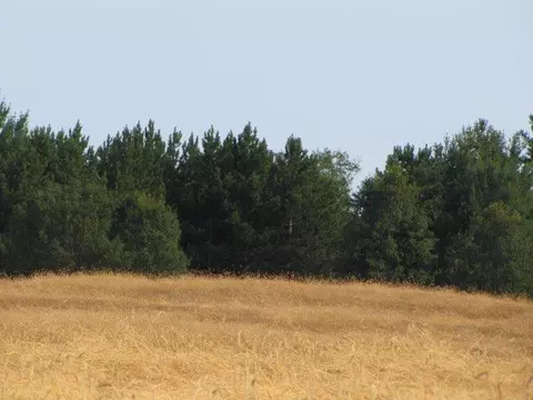 485 W Hubert Road Spruce Mi 48762 Rd, Spruce, MI 48762 photo 11