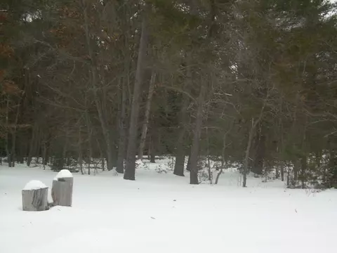 10305 Alpine Drive Grayling Mi 49738 Dr, Grayling, MI 49738 photo 10