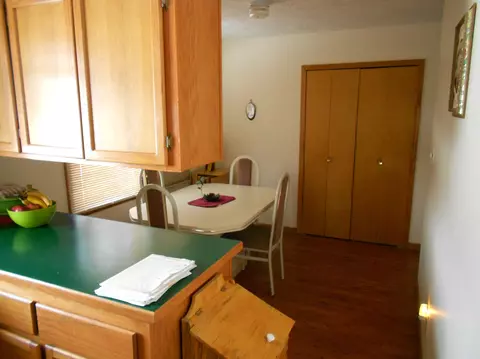 352 Red Tailed Hawk Loop, Grayling, MI 49738 photo 7