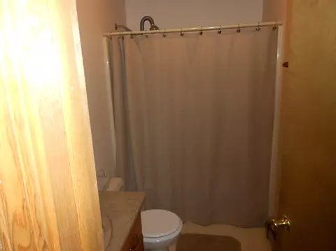 352 Red Tailed Hawk Loop, Grayling, MI 49738 photo 12