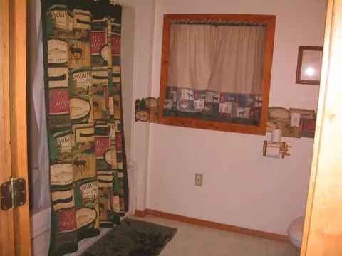 7385 W Batterson Rd, Frederic, MI 49733 photo 12
