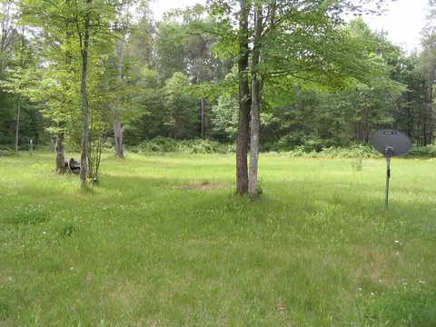 7385 W Batterson Rd, Frederic, MI 49733 photo 5