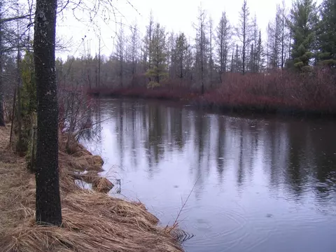 3383 Juniper Way Grayling Mi 49738 Way, Grayling, MI 49738 photo 6