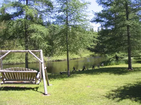 3383 Juniper Way Grayling Mi 49738 Way, Grayling, MI 49738 photo 28
