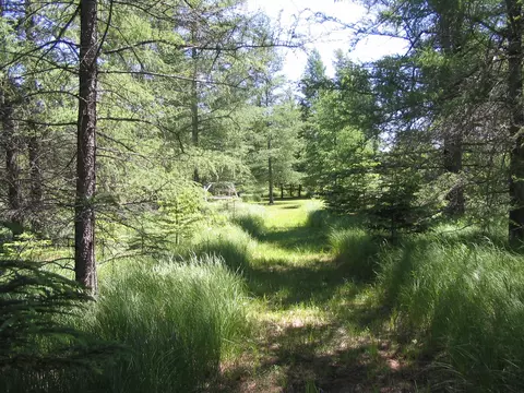 3383 Juniper Way Grayling Mi 49738 Way, Grayling, MI 49738 photo 27
