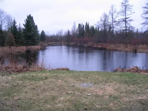 3383 Juniper Way Grayling Mi 49738 Way, Grayling, MI 49738 photo 8