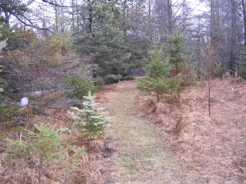 3383 Juniper Way Grayling Mi 49738 Way, Grayling, MI 49738 photo 10
