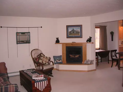 2979 Rasmus Drive Grayling Mi 49738 Dr, Grayling, MI 49738 photo 9
