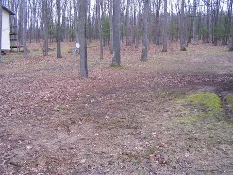 2979 Rasmus Drive Grayling Mi 49738 Dr, Grayling, MI 49738 photo 4
