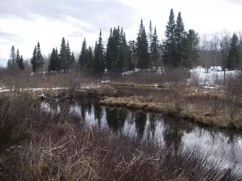 11111 Newman Frederic Mi 49733, Frederic, MI 49733 photo 27