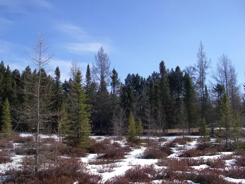 11111 Newman Frederic Mi 49733, Frederic, MI 49733 photo 8