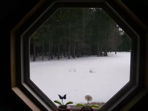 11111 Newman Frederic Mi 49733, Frederic, MI 49733 photo 19