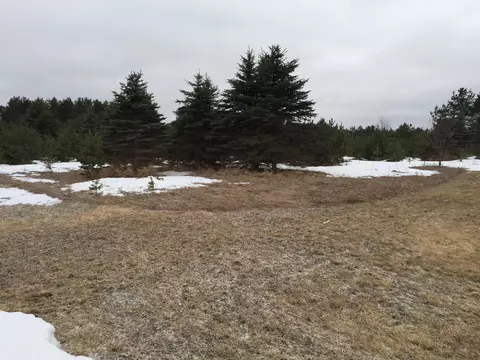 9417 Sherman Road Frederic Mi 49733 Rd, Frederic, MI 49733 photo 22