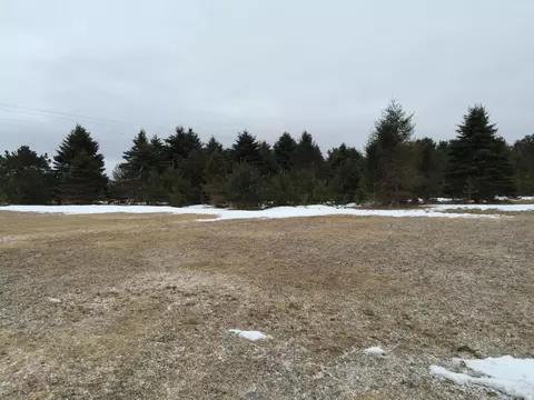 9417 Sherman Road Frederic Mi 49733 Rd, Frederic, MI 49733 photo 24