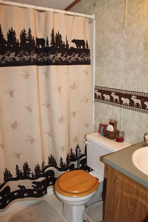 7397 Robinson Rd, Pellston, MI 49769 photo 11