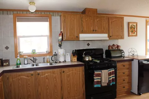 7397 Robinson Rd, Pellston, MI 49769 photo 4