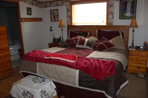 7397 Robinson Rd, Pellston, MI 49769 photo 9