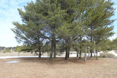 7397 Robinson Rd, Pellston, MI 49769 photo 12