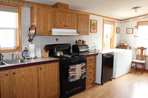 7397 Robinson Rd, Pellston, MI 49769 photo 3