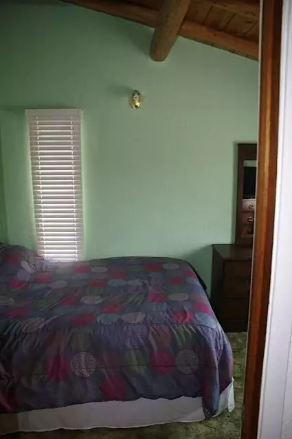 9081 Owl Dr, Frederic, MI 49733 photo 21