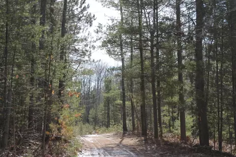 16357 Gooseberry Drive Wolverine Mi 49799 Dr, Wolverine, MI 49799 photo 29