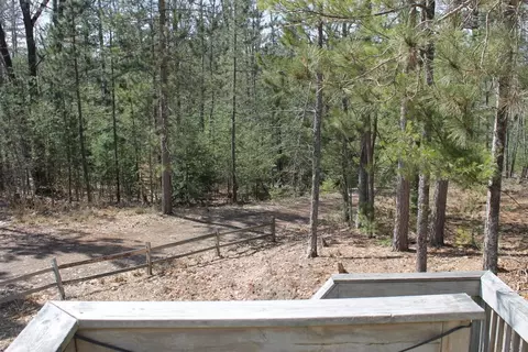 16357 Gooseberry Drive Wolverine Mi 49799 Dr, Wolverine, MI 49799 photo 20