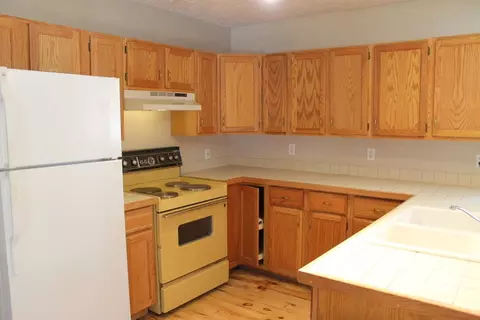16357 Gooseberry Drive Wolverine Mi 49799 Dr, Wolverine, MI 49799 photo 9