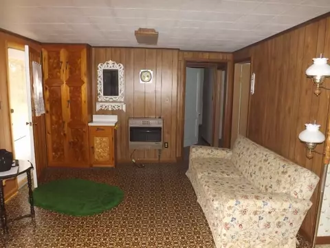 832 Pineview Dr, Mio, MI 48647 photo 4