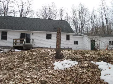 10225 Bud N Jake Trail Frederic Mi 49733 Trl, Frederic, MI 49733 photo 5