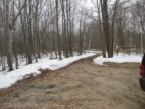 10225 Bud N Jake Trail Frederic Mi 49733 Trl, Frederic, MI 49733 photo 22