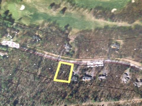 6410 Link Boulevard Lot 63 Indian River Mi 49749 Blvd #LOT 63, Indian River, MI 49749 photo 5