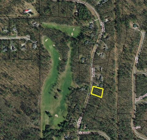 6410 Link Boulevard Lot 63 Indian River Mi 49749 Blvd #LOT 63, Indian River, MI 49749 photo 2
