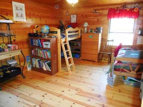 10578 N Old 27, Frederic, MI 49733 photo 21