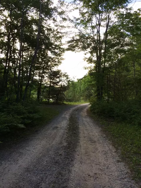 10578 N Old 27, Frederic, MI 49733 photo 35