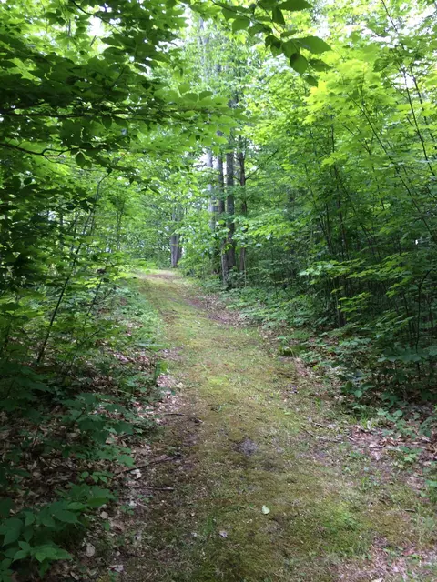 10578 N Old 27, Frederic, MI 49733 photo 33