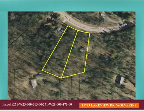 15743 Lakeview Dr, Wolverine, MI 49799 photo 34