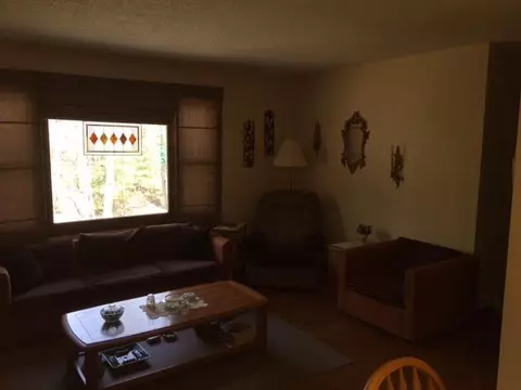 15743 Lakeview Dr, Wolverine, MI 49799 photo 7