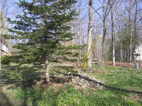 14187 Parallel Avenue Alpena Mi 49707 Ave, Alpena, MI 49707 photo 10