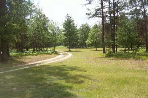 4770 Wilderness Trail Grayling Mi 49738 Trl, Grayling, MI 49738 photo 7