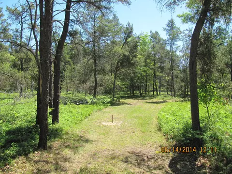 4675 Wilderness Trail Grayling Mi 49738 Trl, Grayling, MI 49738 photo 18