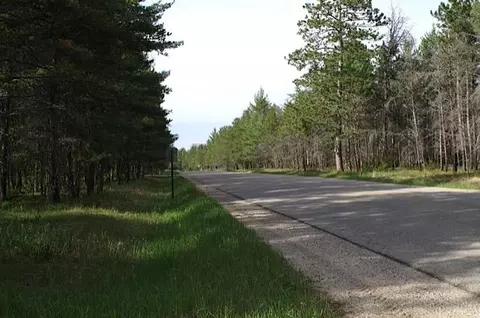 890 S Ausable Trail Grayling Mi 49738 Trl, Grayling, MI 49738 photo 28