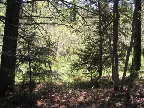 3161 River Park Drive Grayling Mi 49738 Dr, Grayling, MI 49738 photo 21