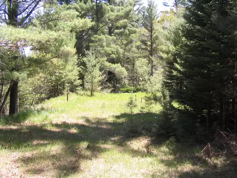 3161 River Park Drive Grayling Mi 49738 Dr, Grayling, MI 49738 photo 7